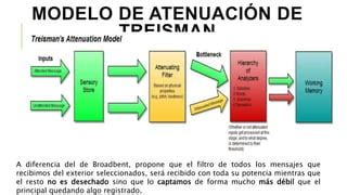 Ppt Semana Atencion Ppt Descarga Gratuita