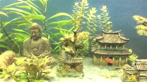 The Reason Why Everyone Love Asian Themed Fish Tank Decora Flickr