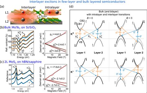 A A Representation Of Intralayer And Interlayer Excitons In A Bilayer