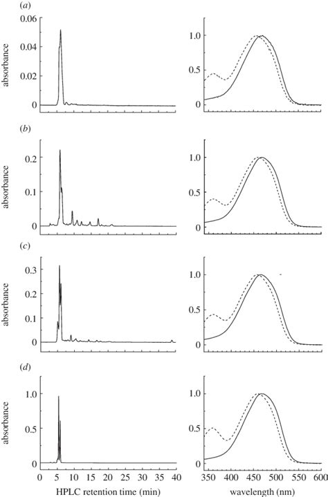 Normal Phase Hplc Chromatogram Of The Extracts From Feathers Of E