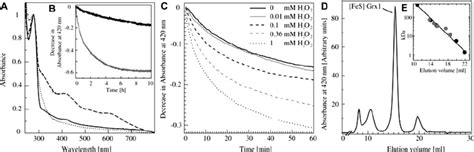 1 C Grx1 Coordinates A Redox Sensitive Fe S Cluster A UV Visible