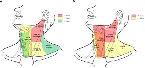 Frontiers Different Primary Sites Of Hypopharyngeal Cancer Have