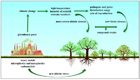 This Picture Shows The Impact Of Human Activities On Climate Change And