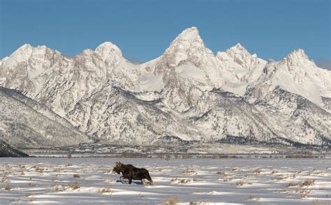 9 Things to Do in Grand Teton in Winter (+ Tips for Visiting!) - Eternal Arrival