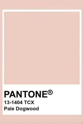 Pantone Palette Pantone Swatches Pantone Colour Palettes Color