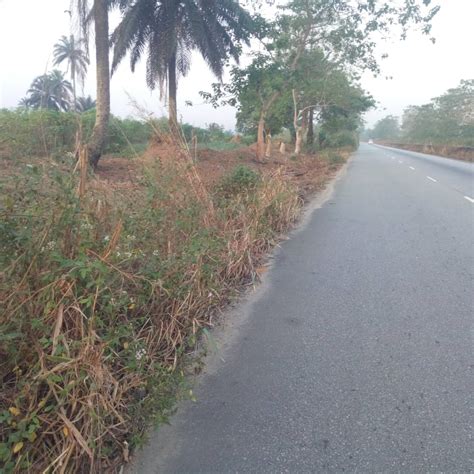 Plots Of Land For Sale At Tai Rivers State Naijalandlord