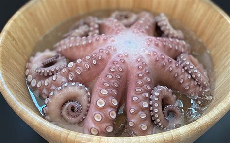 C Mo Cocer Pulpo Como Un Profesional Recetas Nestl