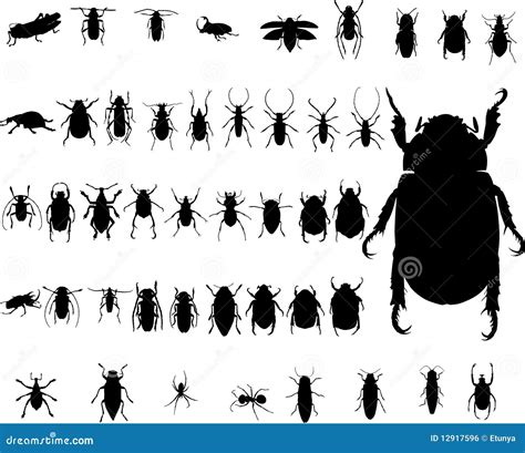 Bug Insect Silhouettes Stock Vector Illustration Of Pest