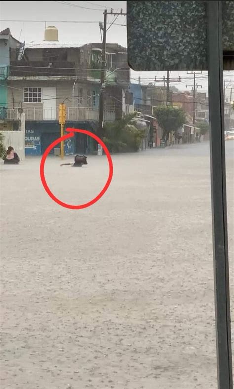 Centinela Veracruz On Twitter Alvarado Las Fuertes Lluvias En