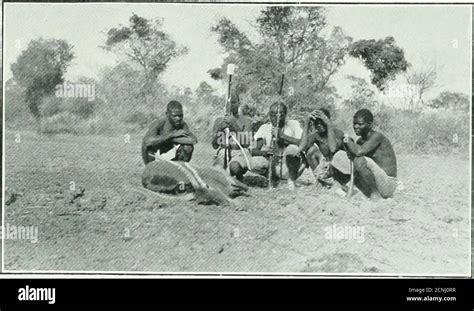 Central African Game And Its Spoor Puku Ih N Puku Horns