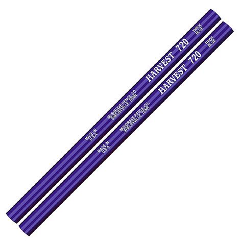 ROUND DK BLUE - THICK BLUE LEAD PENCILS