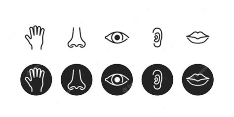Premium Vector Five Human Senses Icon Set Touch Smell See Hear Taste