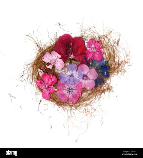 Dried Flower Petals Application Bouquet Of Dry Flowers Stock Photo Alamy