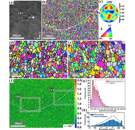 Ebsd Map Results Of A Melt Pool Structure In The Band Contrast Map Of