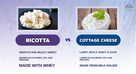 Ricotta Vs Cottage Cheese Differences When To Use Each And Nutrition