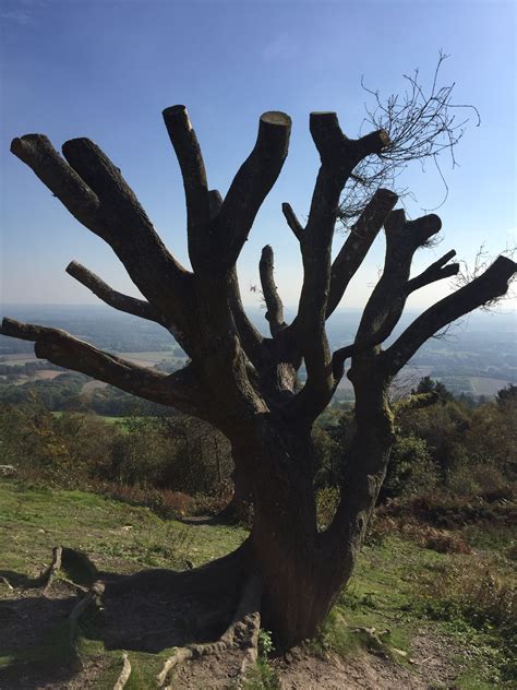 leith hill