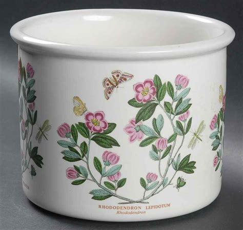 Botanic Garden 5 Planter Pot By Portmeirion Replacements Ltd