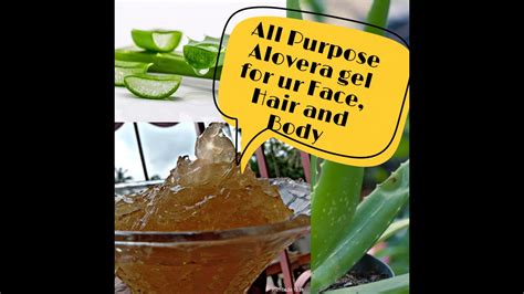 How To Make Aloe Vera Gel At Home Easiest Way Youtube