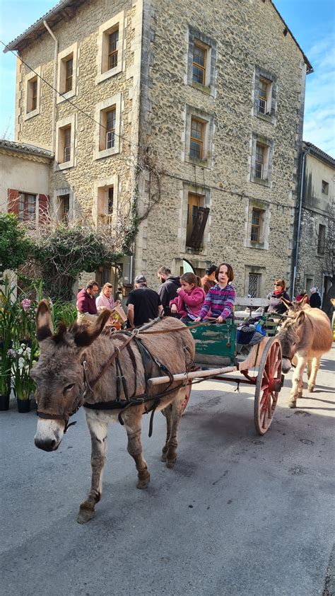 La fête du printemps et de la nature Velleron fr