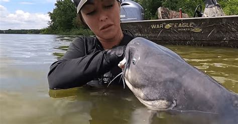 Catfishing Noodling: What Is It and How to Do It Correctly?