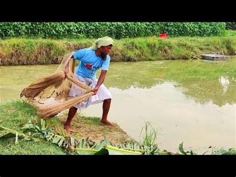 Traditional Net Fishing In River Cast Net Fishing With Village