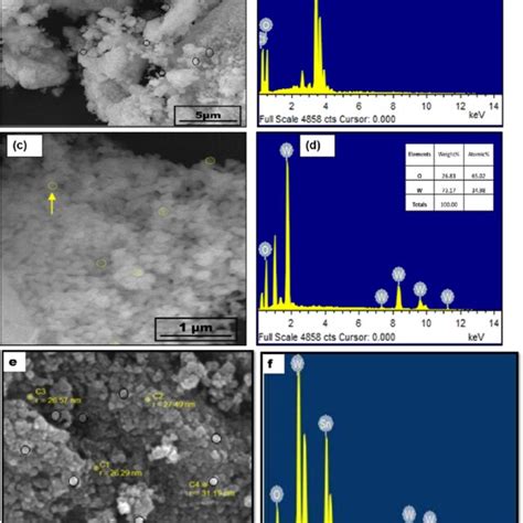 A SEM Micrographs Of SnO 2 NPs B EDS Analysis Of SnO 2 NPs C