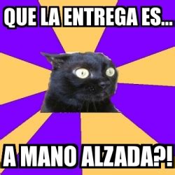 Meme Anxiety Cat Que La Entrega Es A Mano Alzada