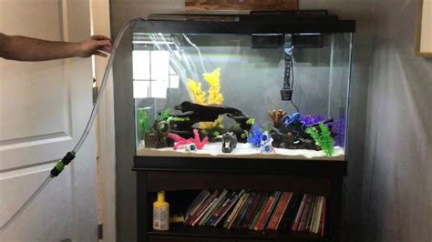 Setting Up My 65 Gallon Fish Tank YouTube