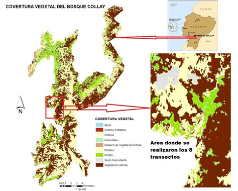 Mapa De Ubicaci N Del Bosque Collay En El Austro Ecuatoriano Mostrando