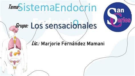 Sistema Endocrino y Patologías Hashenka Lia uDocz