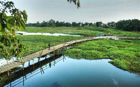 About River Island Majuli, Location, Tourist Activities & Facts