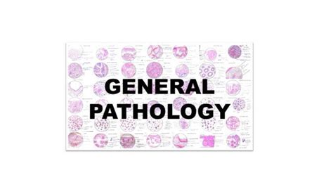 Pathology Practical Illustrations : GENERAL PATHOLOGY - Pathology Made Simple