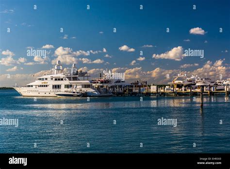 Yachts In Miami Beach Florida Stock Photo Alamy