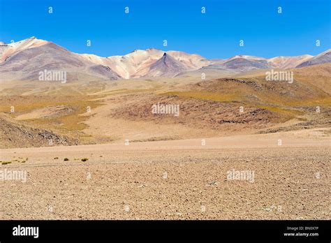 Bolivian Altiplano Potosi Bolivia Stock Photo Alamy