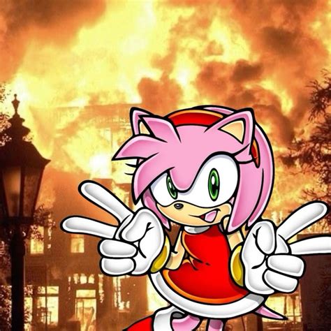 Amy Rose Meme 🎀 Amy The Hedgehog Amy Rose Super Amy Rose