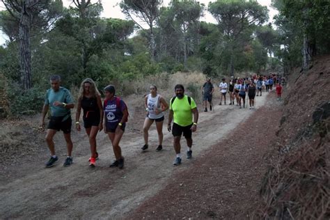 Ajuntament de Sant Vicenç de Montalt La Nocturna de Montaltrek un