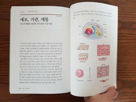 알라딘서재 쉽게 보는 건강 해부 생리학 서적 인체 구조 교과서