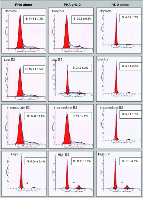 Peripheral Blood Mononuclear Cells Pbmc Cell Cycle Progression After