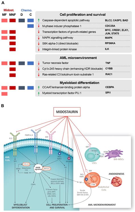 Biomedinformatics Free Full Text A Systems Biology And Machine