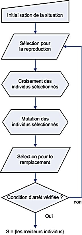 principe de fonctionnement d un algorithme génétique Download