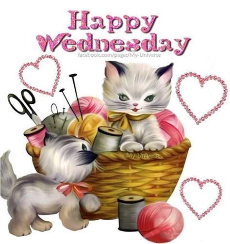 Kitty Happy Wednesday Happy Wednesday Pictures Cute Good Morning Images Good Morning Happy