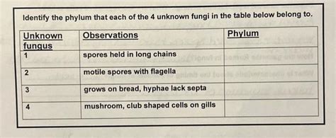 Solved Identify the phylum that each of the 4 unknown fungi | Chegg.com 