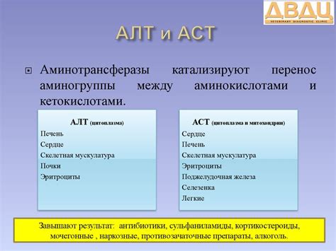 Ферменты. АЛТ и АСТ - online presentation