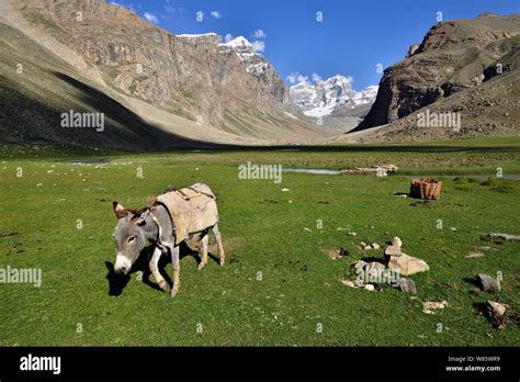 Wakhan Valley Hi Res Stock Photography And Images Alamy