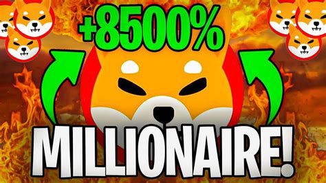 Omg Shiba Inu Made Me A Millionaire Your Last Chance Shiba Inu