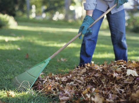 Ne Jetez Plus Vos Feuilles Mortes