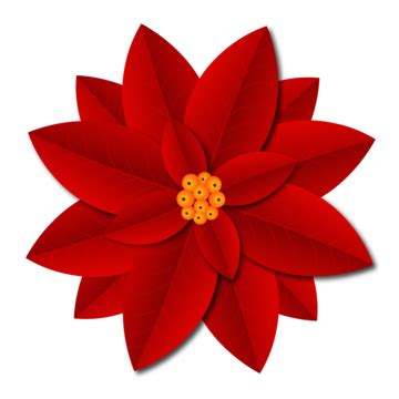 Red Christmas Ornament Clipart Hd PNG Beautiful Red Poinsettia Flower