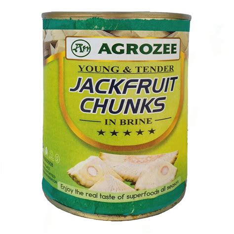 Agrozee Canned Jackfruit Kathal Chunk In Brine Raw Tender Jackfruits 850g Pack Of 1