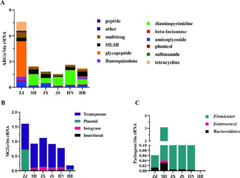 The Relative Abundance Per S Rrna Gene Of Args A Mges B And