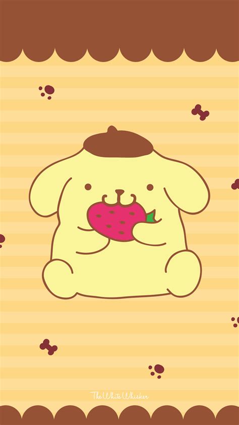 Sanrio Pom Pom Purin And Macaron Wallpaper ·① Wallpapertag